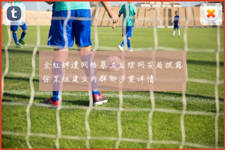 全红婵遭网络暴力后续网安局披露徐某组建业内群聊涉案详情