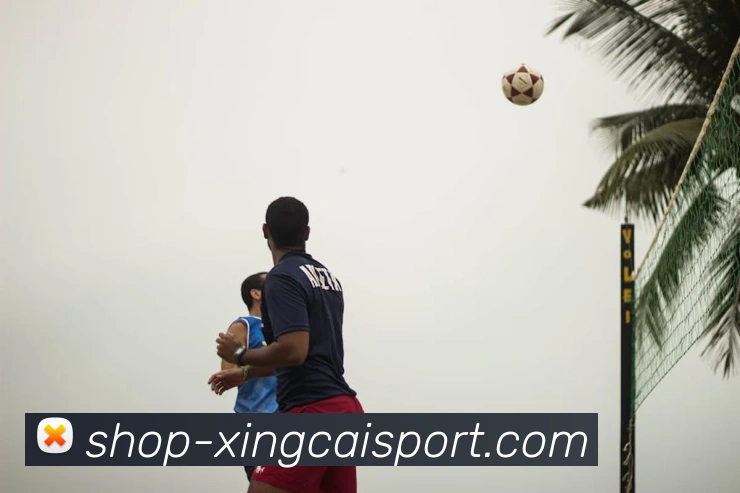 杏彩体育发展历程